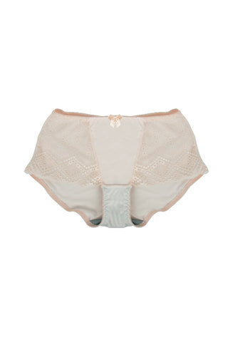 products/fancy-appeal-low-waist-underwear-8018u-798682.jpg